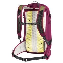 Jack Wolfskin Moab Jam Pro 24.5 - Rucksack 50 Cm -Deuter Verkäufe 2025 Jack Wolfskin Moab Jam Pro 24 5 Fahrradrucksack 50 cm beaujolais 2010261 2222 3