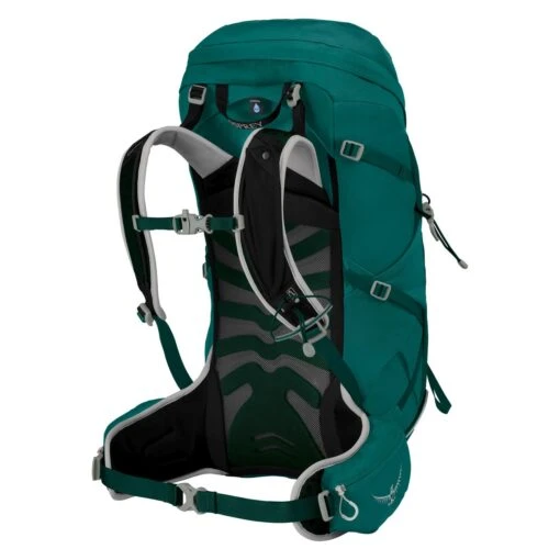 Osprey Tempest 34 Women M/L - Wanderrucksack 54 Cm -Deuter Verkäufe 2025 Osprey Tempest 34 Trekkingrucksack WM L jasper green 10002730 2